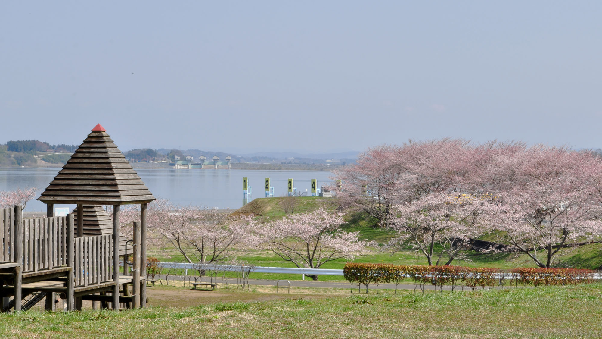 【周辺：長沼フートピア公園】チューリップ園やキャンプ場など大きな公園です