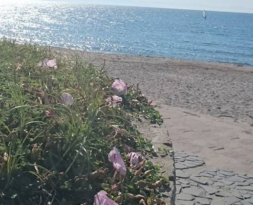 Hotel Terao Image 4, Niigata, Japan