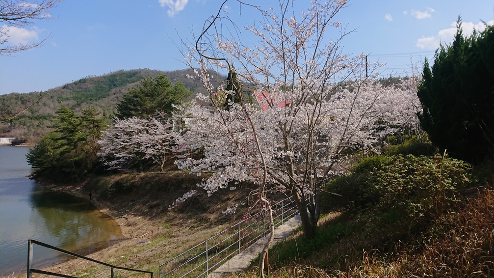 春の湖畔