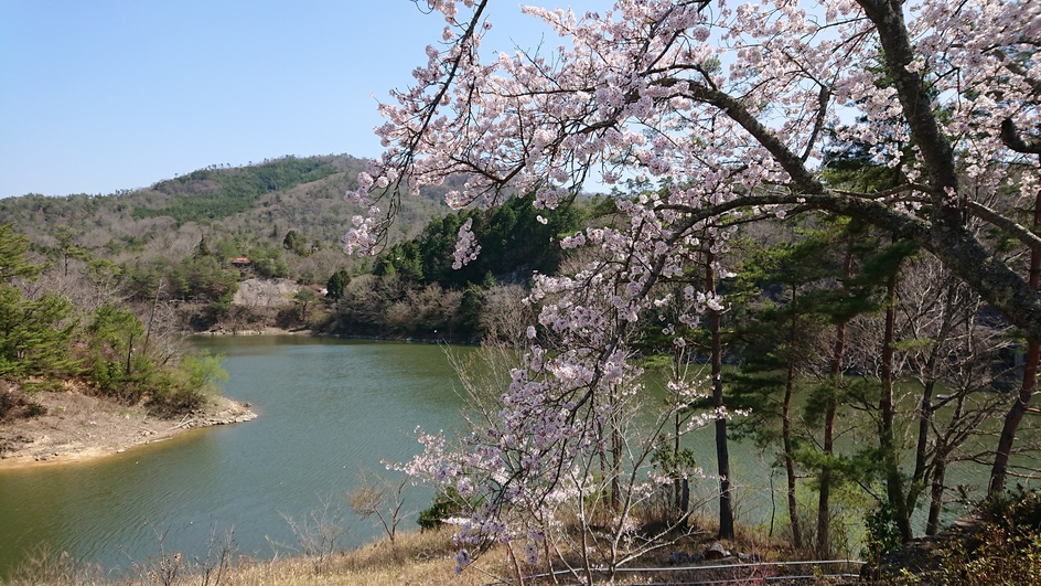 春の湖畔