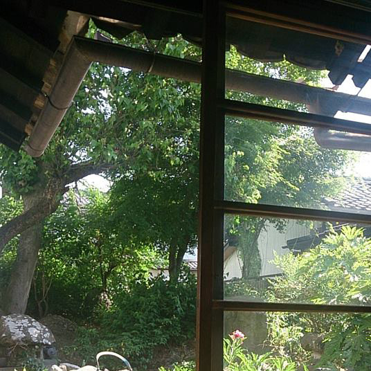 縁側からの眺め