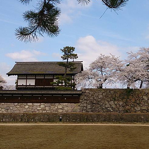 松代の観光-春