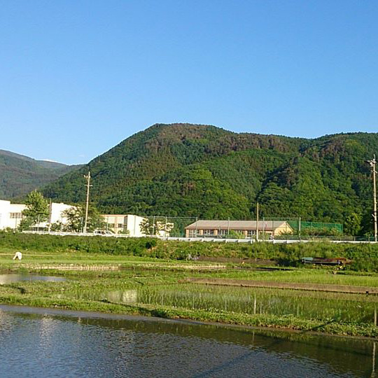 松代の緑豊な夏の風景一例