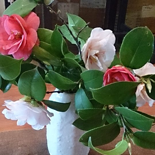 Matsushiro Guest House Hoteiya Image 4, Nagano, Japan