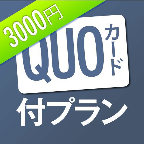 QUO3，000円プラン