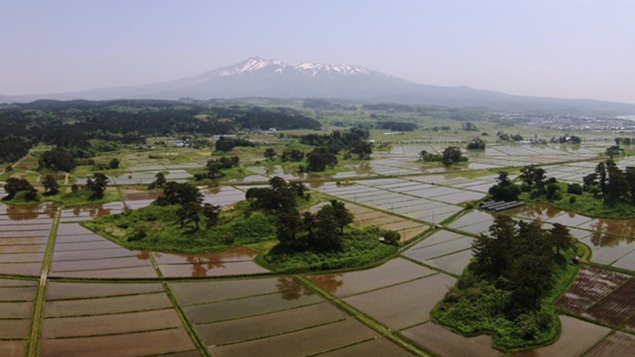 *【象潟九十九島】鳥海山の麓に島々が60あまり点在し、田園地帯に浮かんで見える象潟独特の風景。