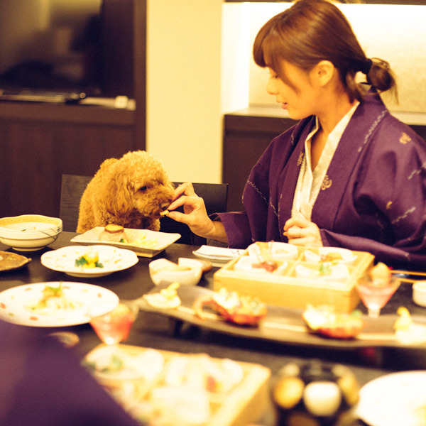 美しく鮮やかに彩る会席を愛犬とともにお部屋食で。