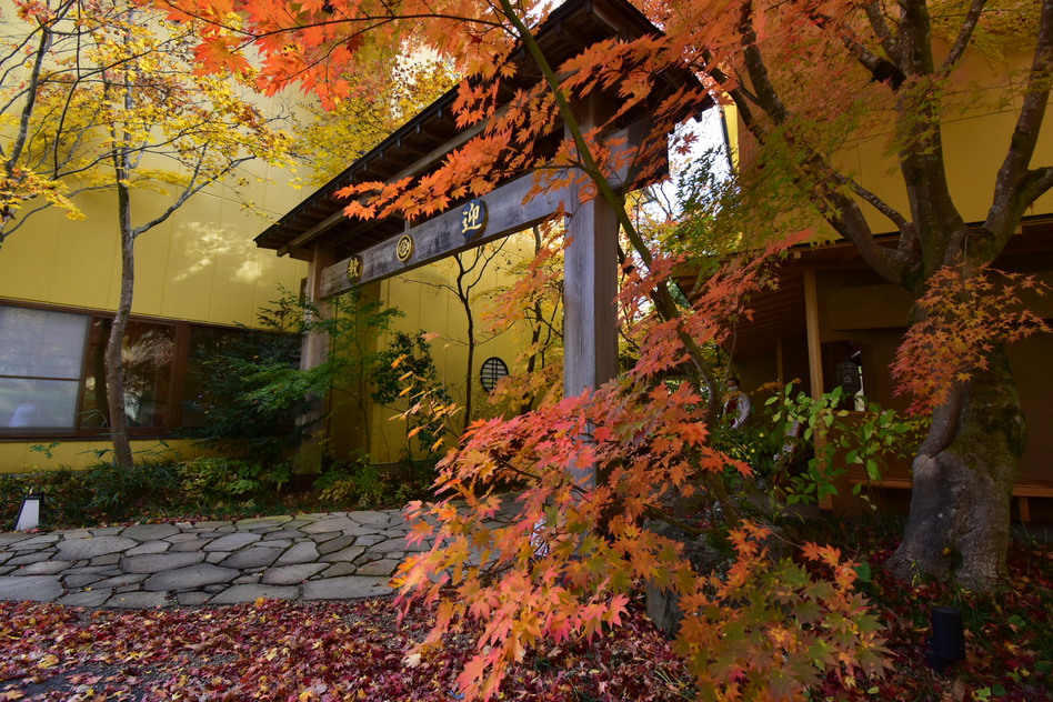 宿外観・紅葉シーズン11月