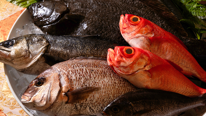 【伊豆の海の恵み】金目鯛をはじめ、「この土地だから美味しい」近郊の海で獲れた新鮮さ抜群の魚介類の数々