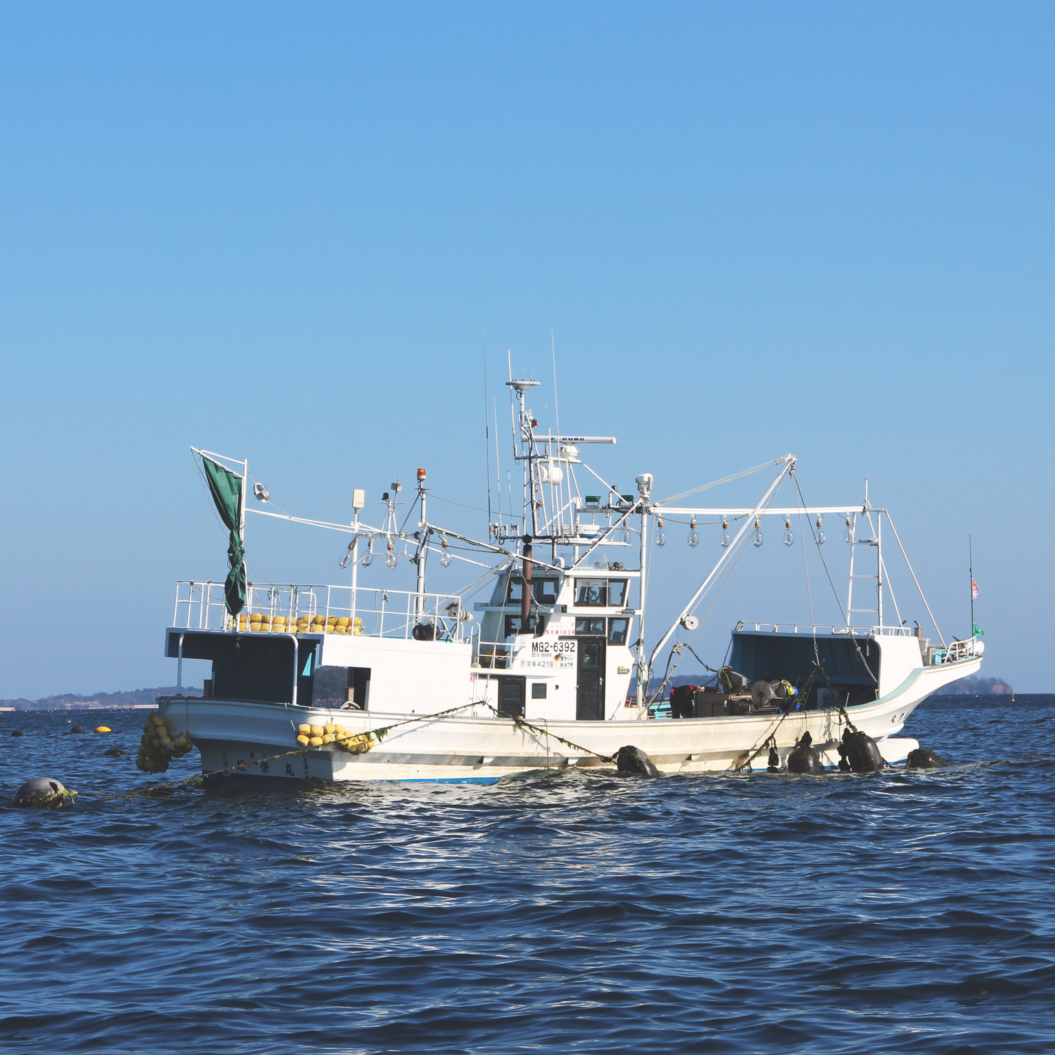 地で採れたものを地で食す。世界三大漁場のひとつ三陸沖の海産物が名物です