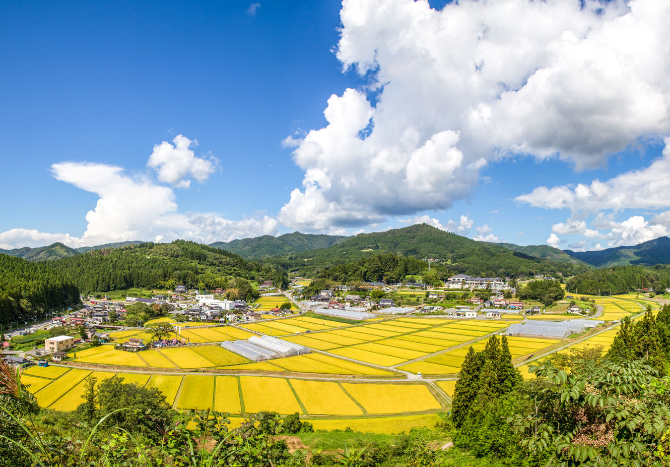 いりやどから徒歩１５分。秋の花見山頂上からの眺望