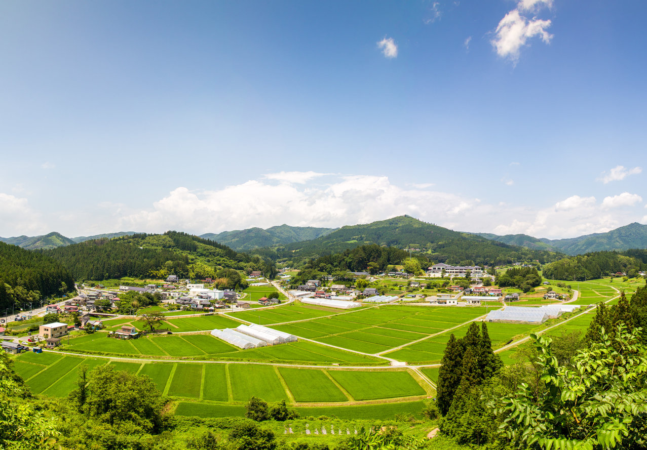 いりやどから徒歩１５分。夏の花見山頂上からの眺望