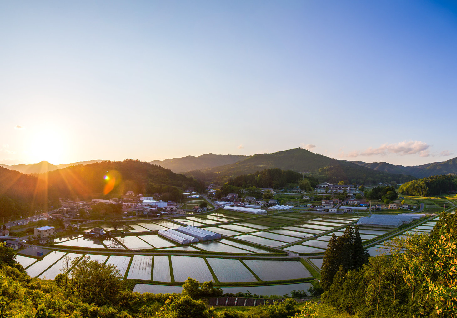 いりやどから徒歩１５分。春の花見山頂上からの眺望