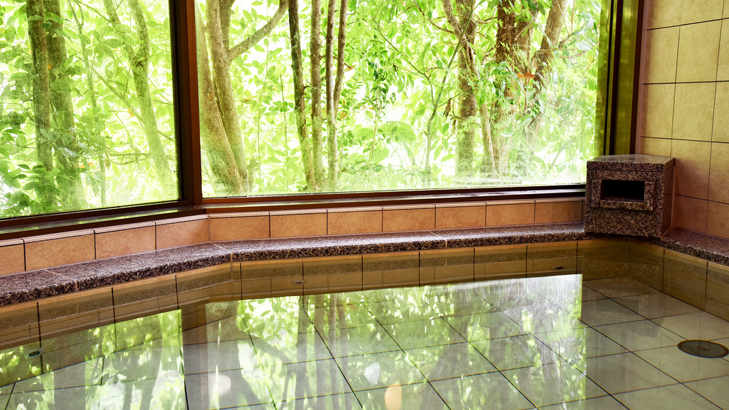 Ryujin Onsen Ryokan Sakai Main Image Ryujin Onsen Ryokan Sakai, Tanabe