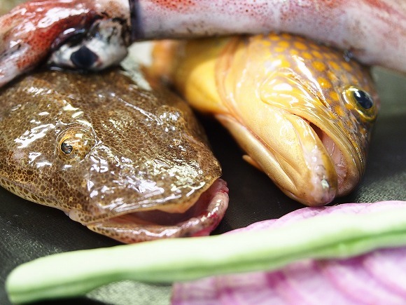 地魚「コチとヨネズ」