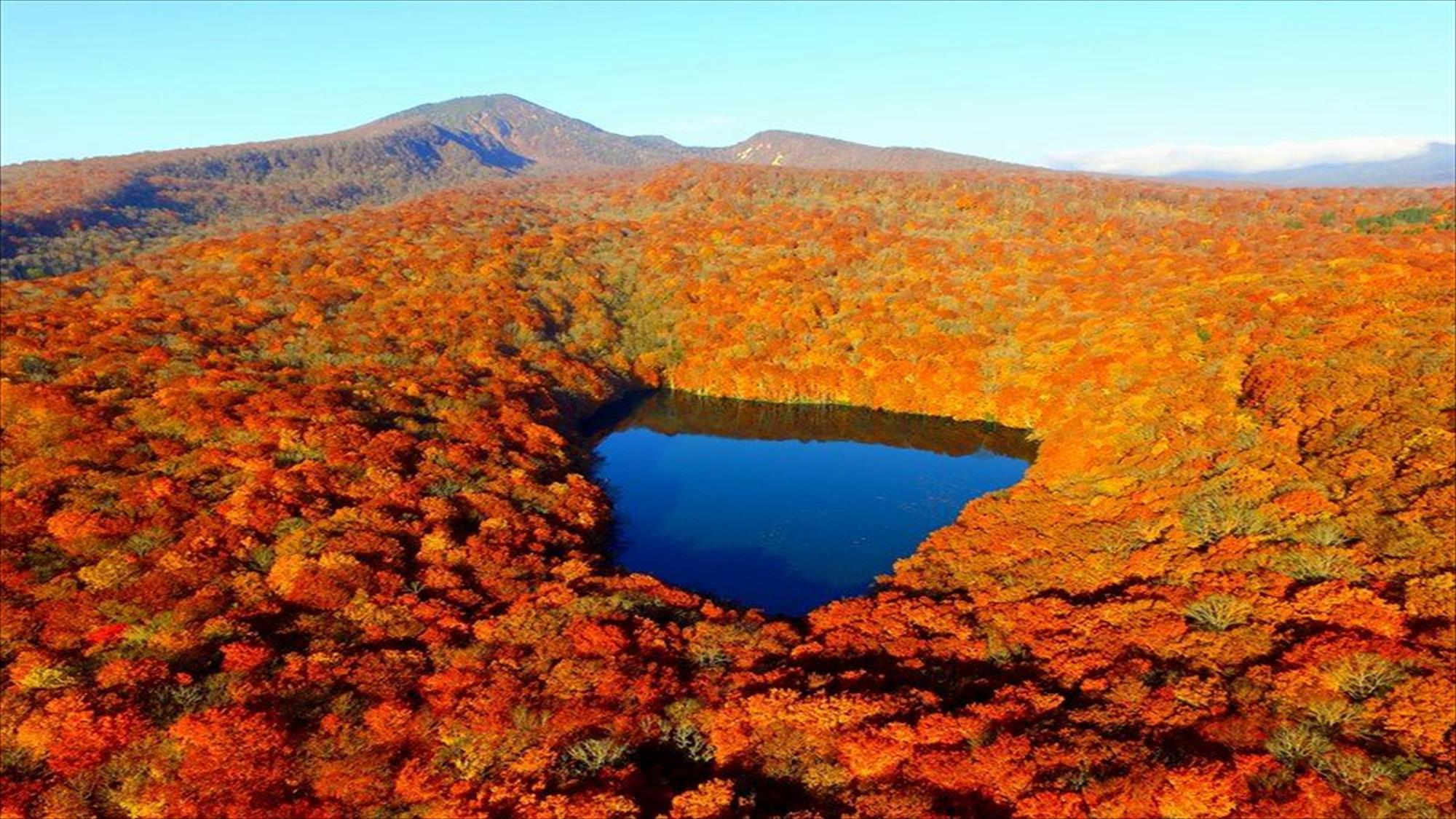  【周辺観光/蔦沼】