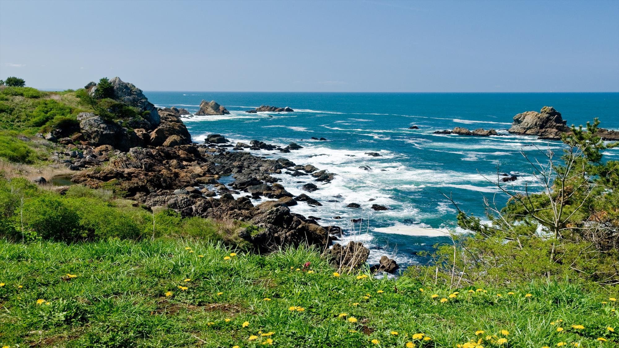  【周辺観光/種差海岸】