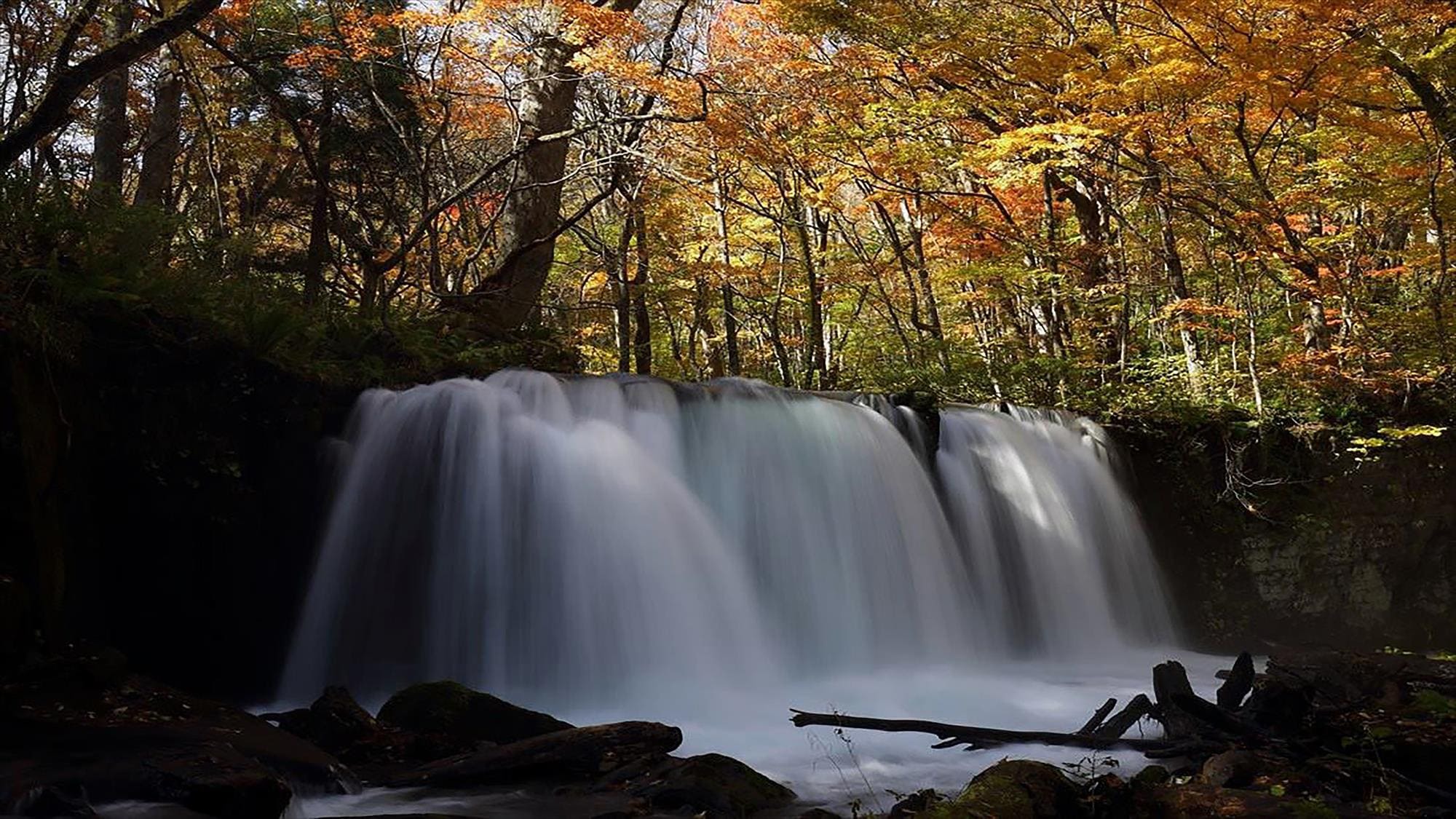  【周辺観光/奥入瀬渓流】