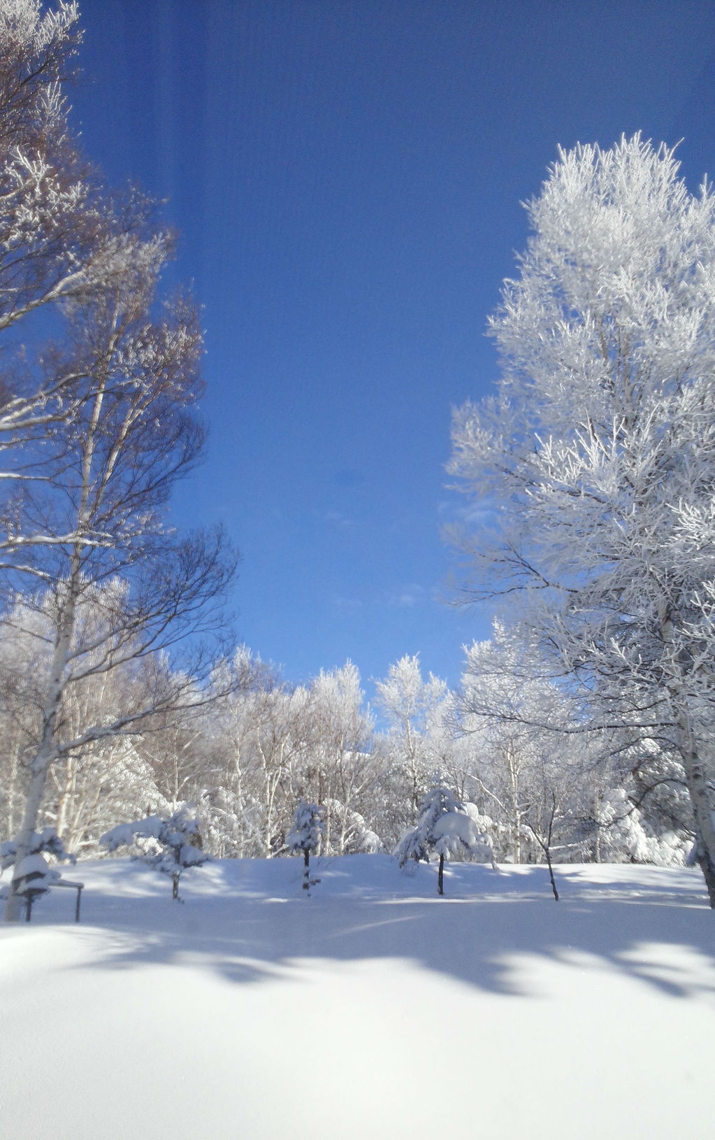 雪景色