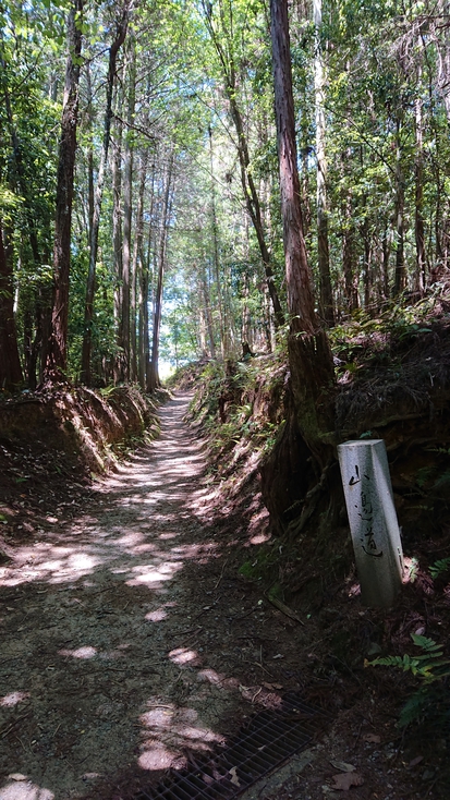 檜原神社に向かう山の辺の道