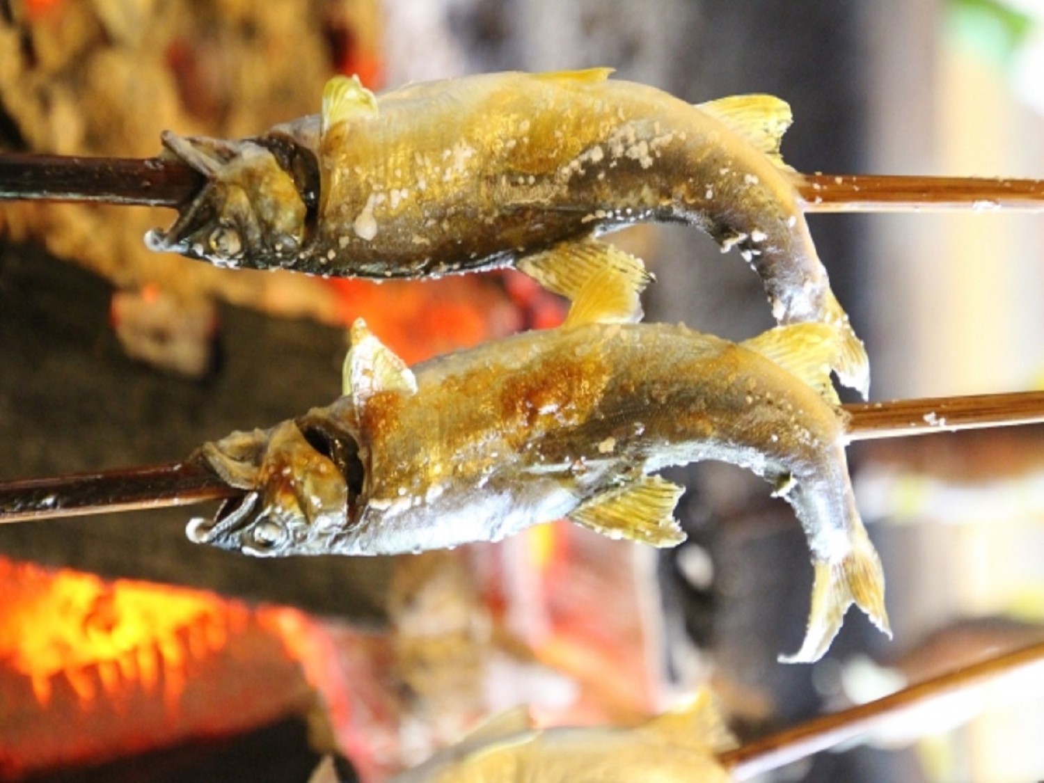 【ライブキッチン】夕食では地元の魚を焼きご提供！是非お楽しみください。