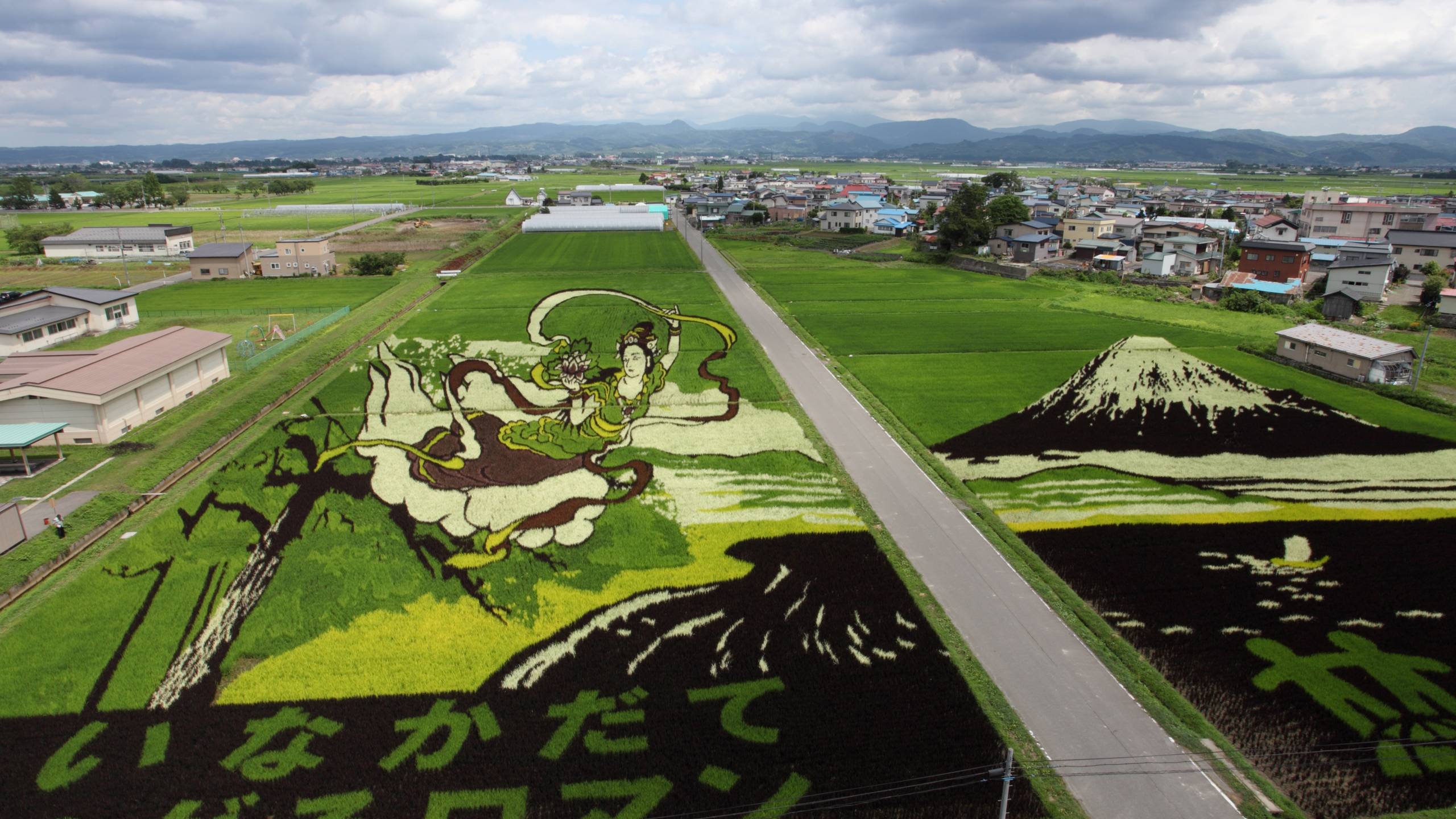 田んぼアート