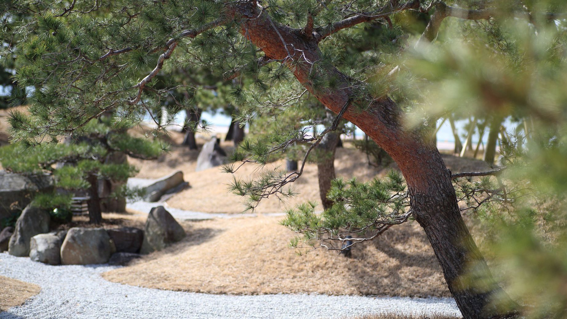 日本庭園