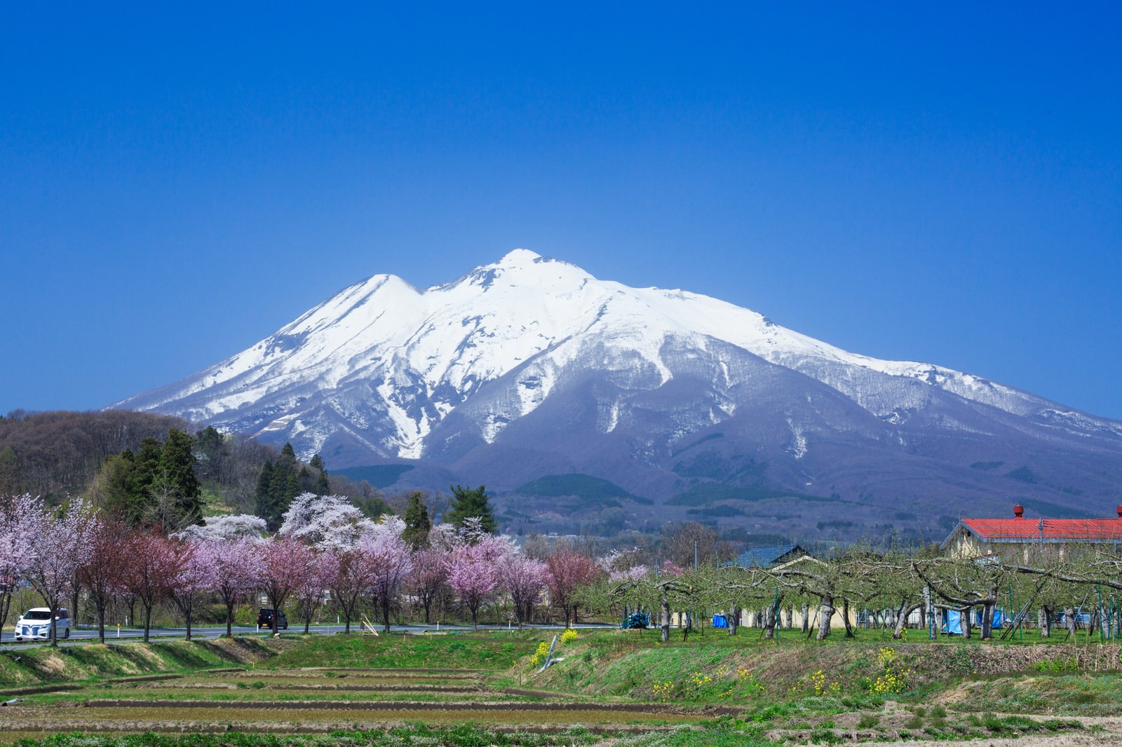 岩木山の風景