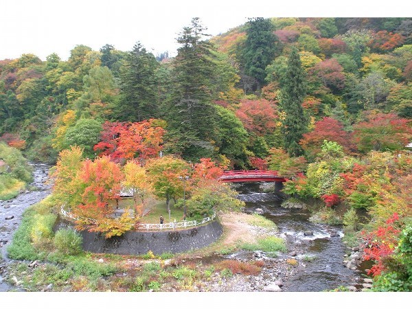 中野もみじ山の紅葉