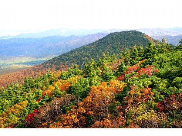 八甲田山の紅葉