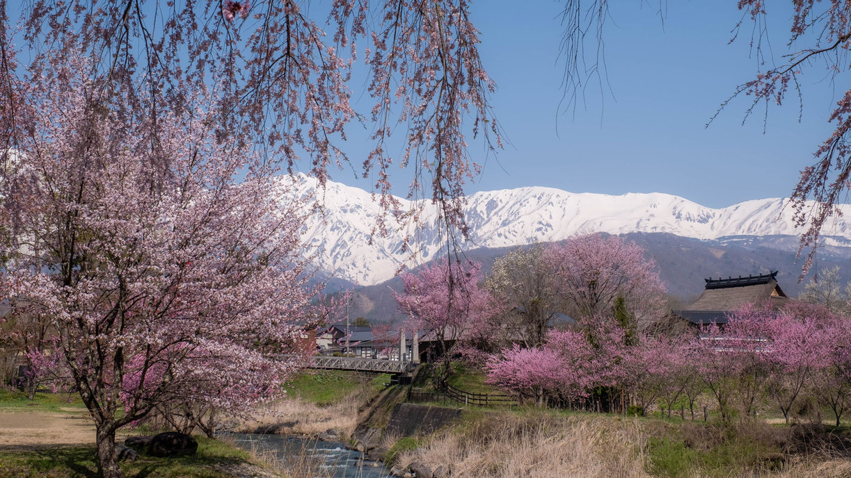  春の風景大出公園