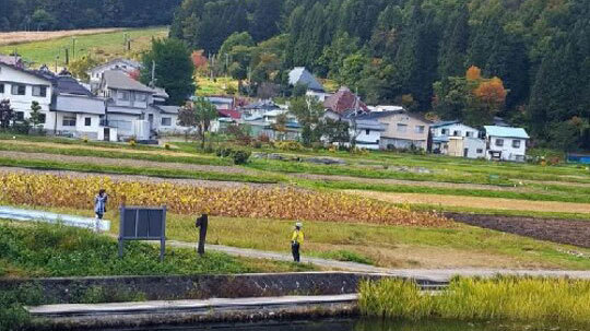 中綱湖