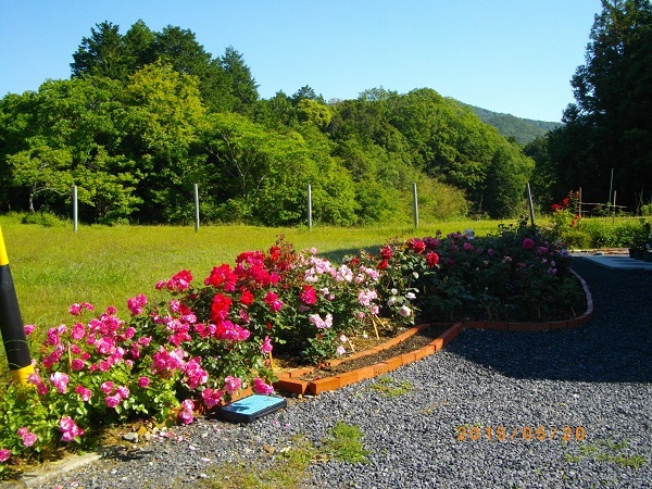 Ise Shima Petit Chambre