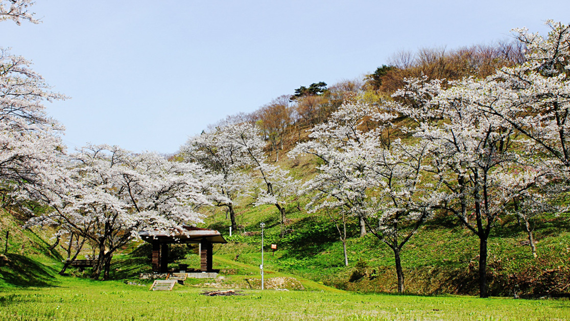 *【周辺】当館から車で5分の石倉山公園。春には桜がきれいに咲き誇ります。