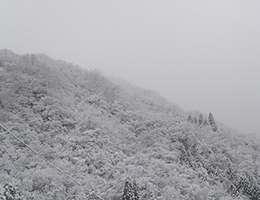 冬のはじまりの福地山（玄関前から11月撮影）