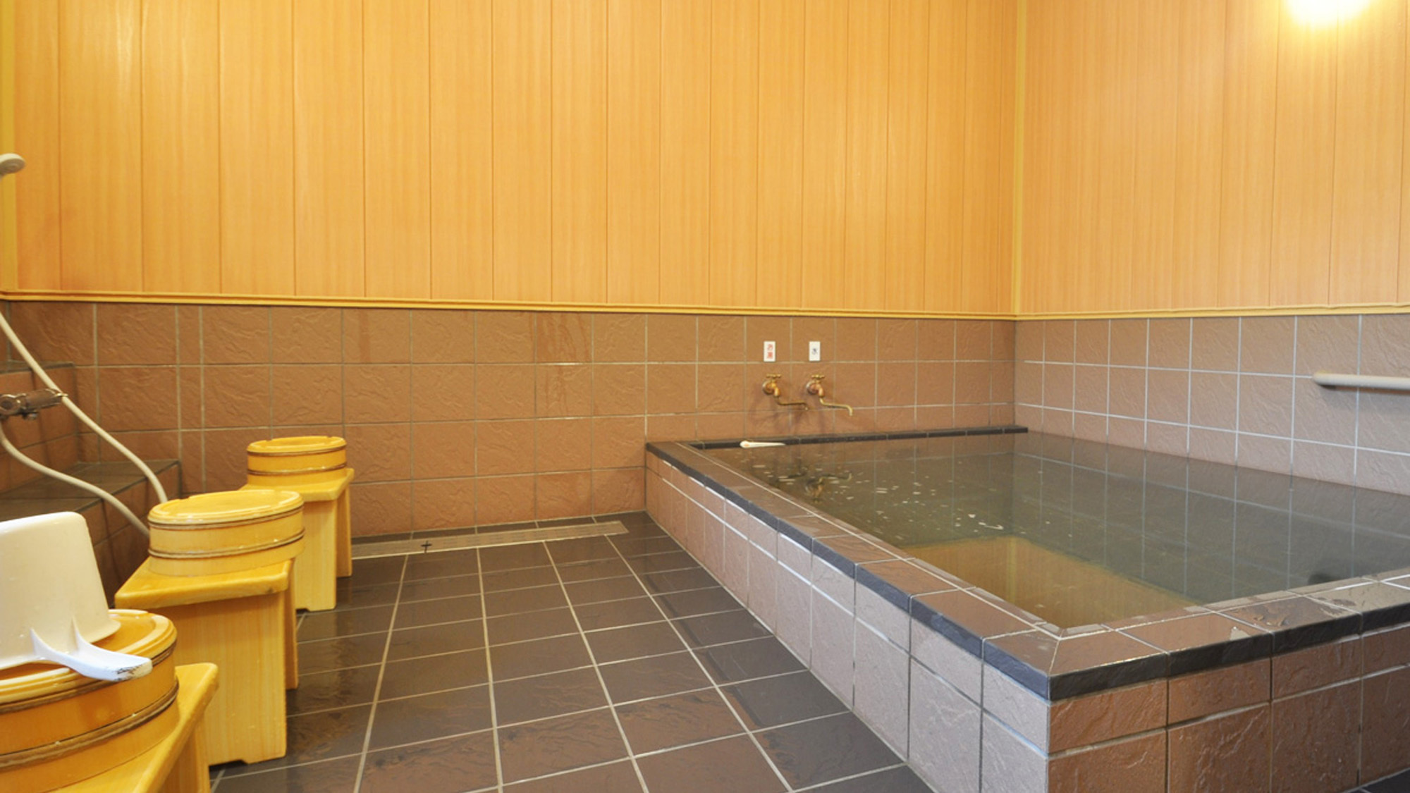 【大浴場】遠赤外線健康風呂（女湯）遠野産角閃石を使用した芯まで温まるお風呂です。