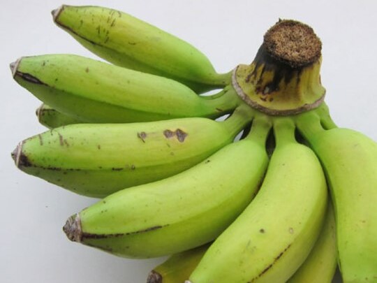 沖縄の果実島バナナ