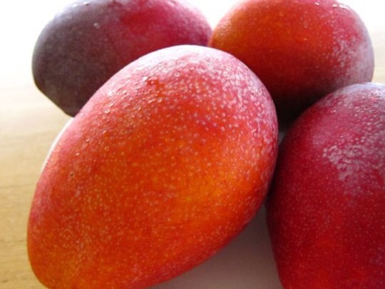  沖縄の果実マンゴー