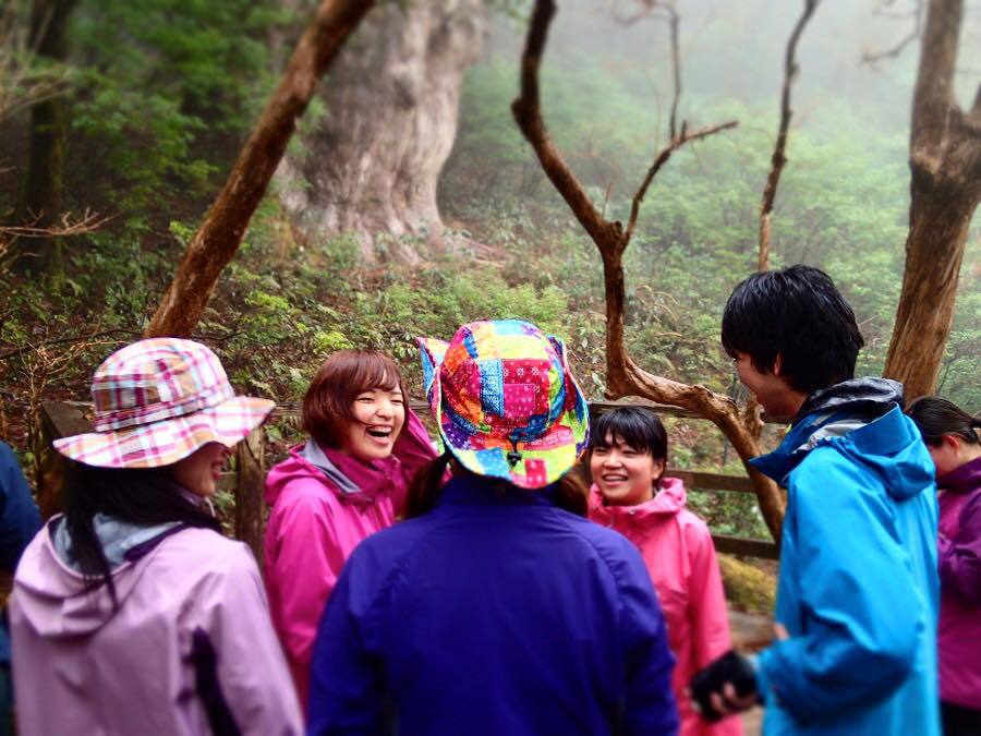 縄文杉トレッキングNEW