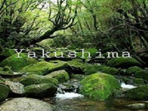 〜世界自然遺産の島〜