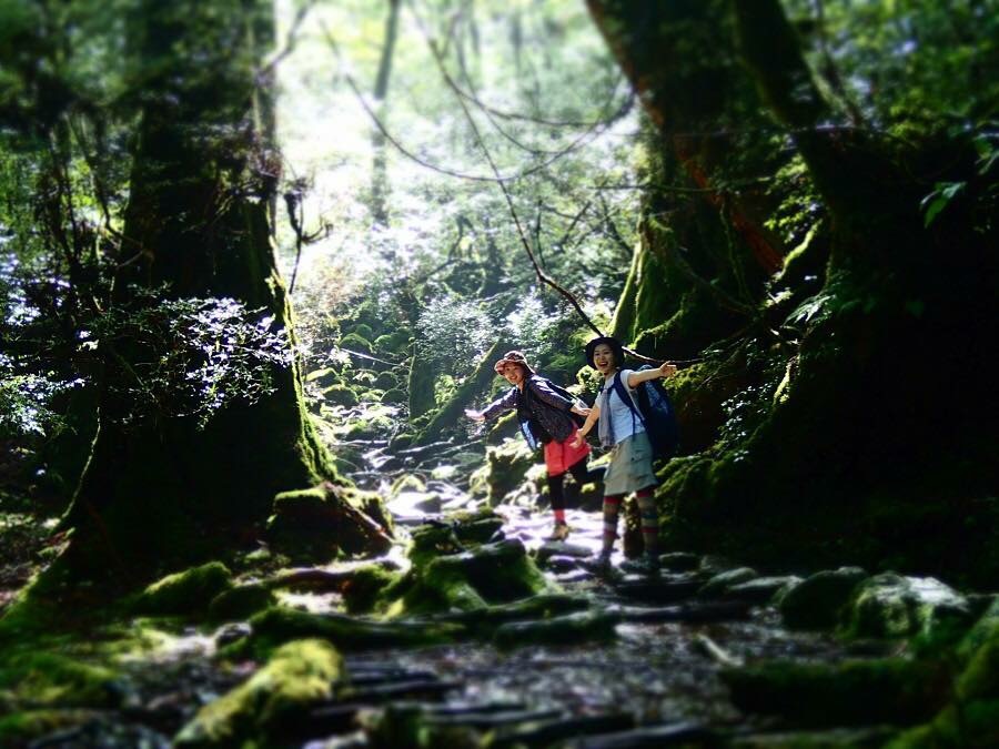 白谷雲水峡トレッキング