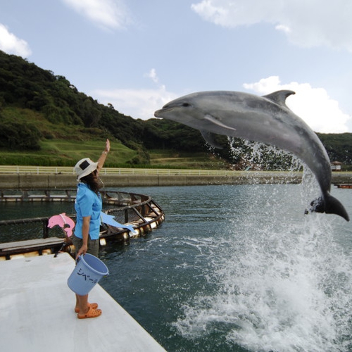 イルカパーク当館より車で約３０分