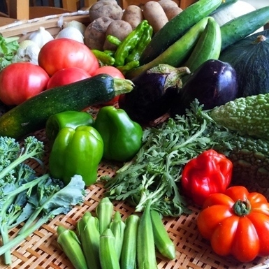 夏野菜