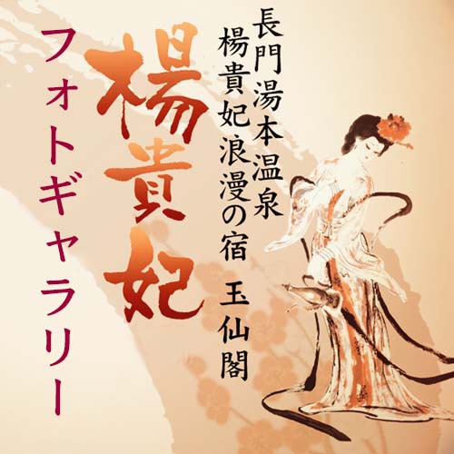 フォトギャラリーご案内