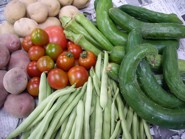 無農薬野菜