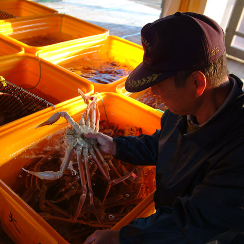 漁港での主人03