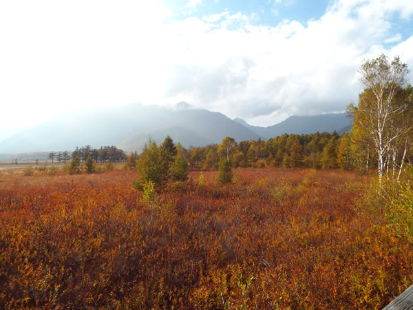 奥日光・戦場ヶ原の草紅葉