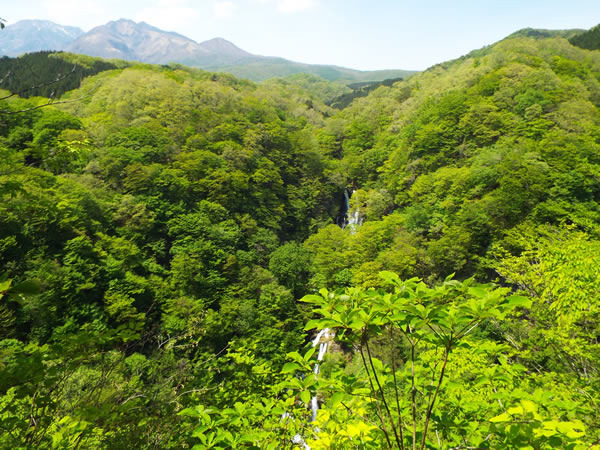 霧降ノ滝