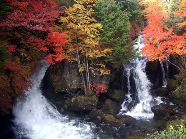 奥日光・竜頭ノ滝の紅葉