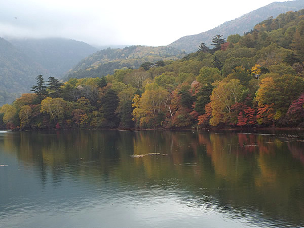 湯ノ湖の紅葉